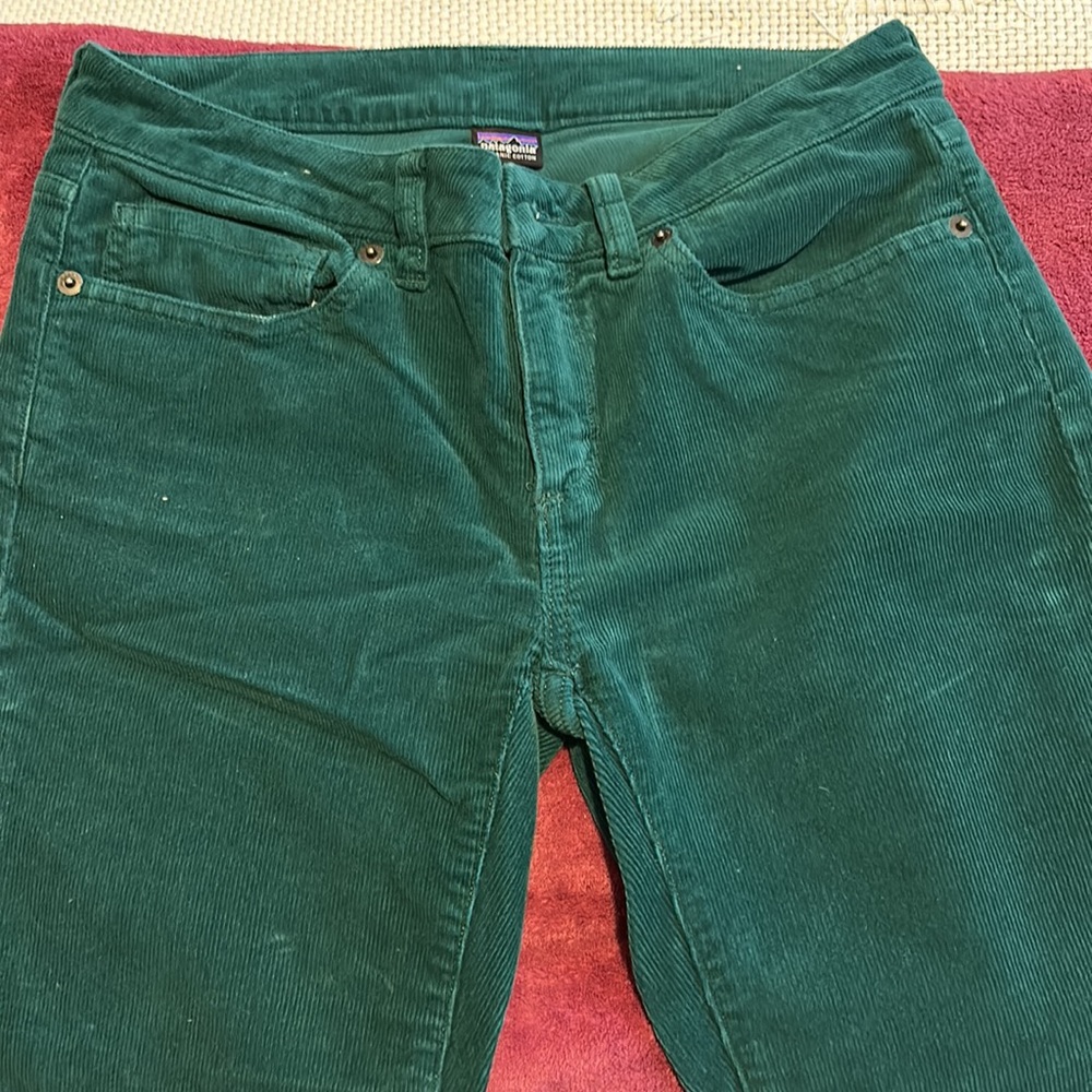 Patagonia (lighter) Green Corduroy pants - Picture 4 of 7